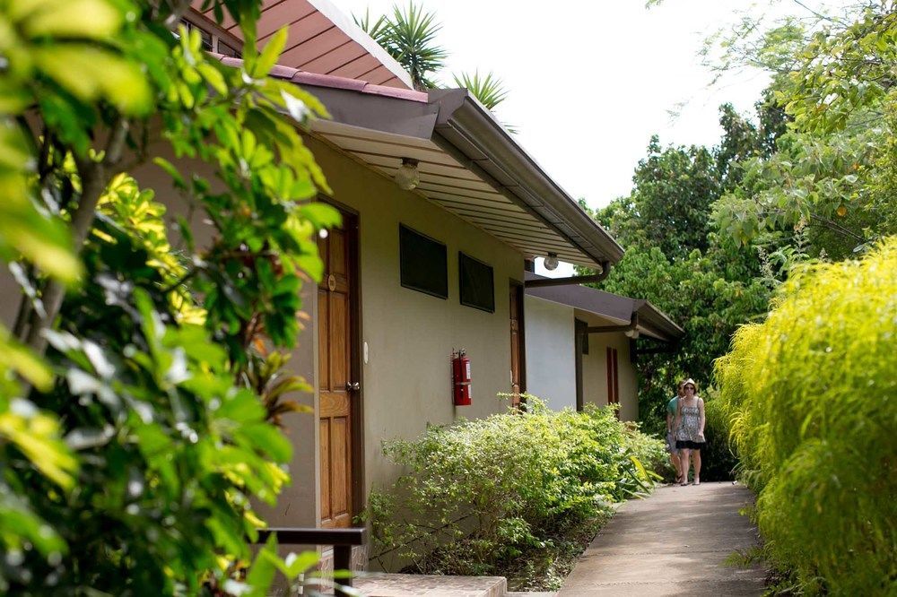 Pura Vida Retreat & Spa Pilas Eksteriør bilde