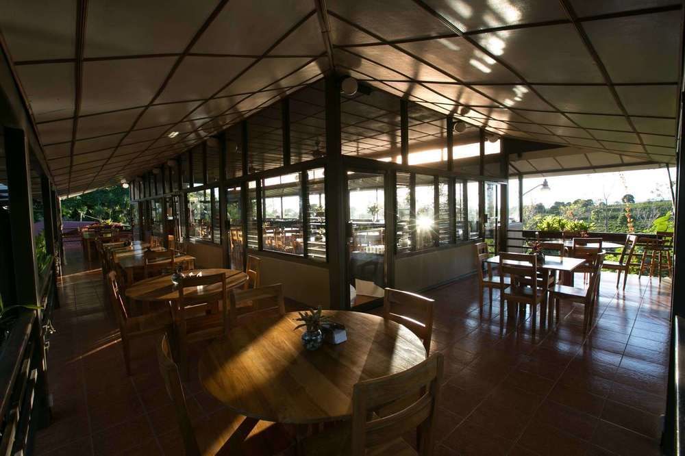 Pura Vida Retreat & Spa Pilas Eksteriør bilde